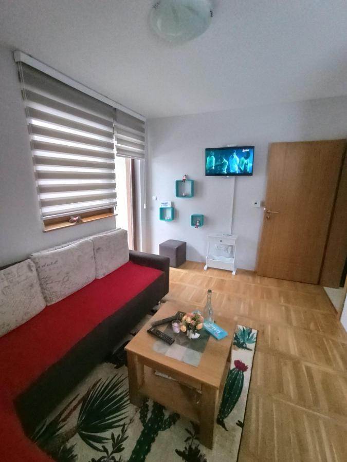Apartment Gorski Javor Τζαχορίνα Εξωτερικό φωτογραφία