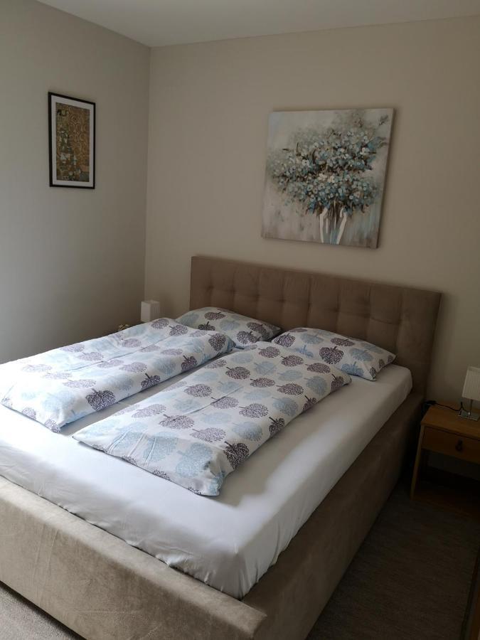 Apartment Gorski Javor Τζαχορίνα Εξωτερικό φωτογραφία